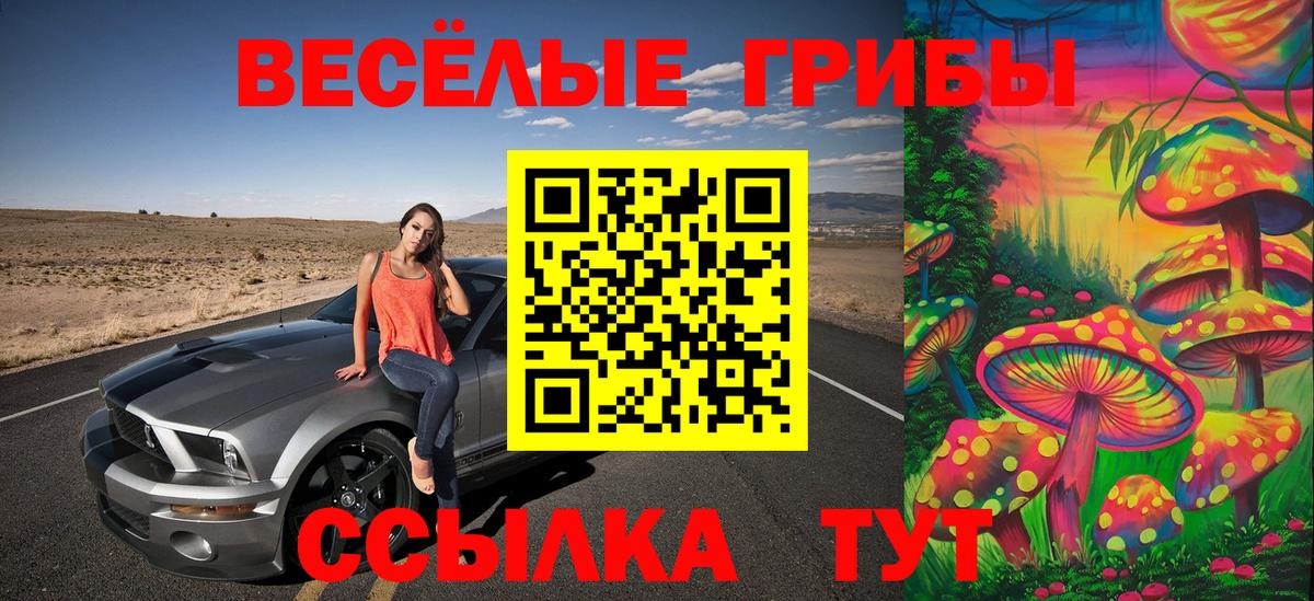 Галлюциногенные грибы мухоморы  купить наркотик  Уварово  Вход с VPN  Галлюциногенные грибы прущие грибы 