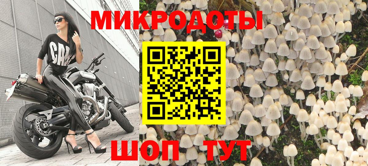 Псилоцибиновые грибы Psilocybine cubensis Уварово